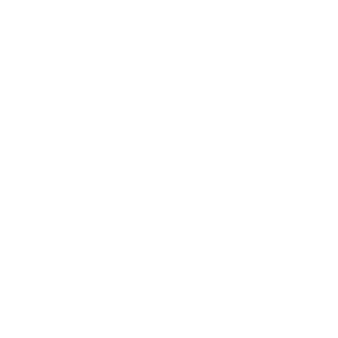 ibis-budget